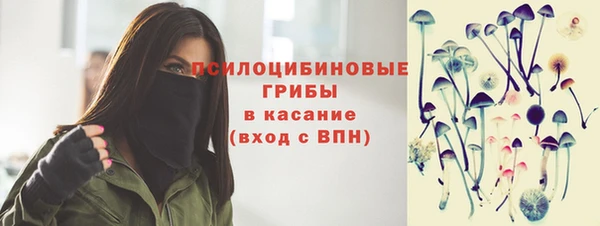 не бодяженный Бердск