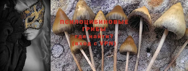 винт Вяземский