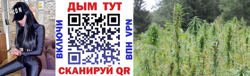 Купить где  Рузаевка  Канабис тримм 